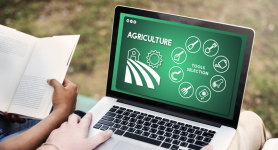 Trading Agricultural Options